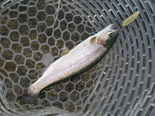 f0065341_1046128.jpg