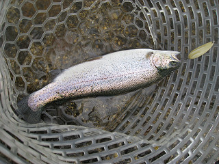 f0065341_10555745.jpg