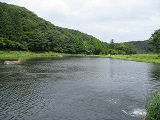 f0065341_1135874.jpg