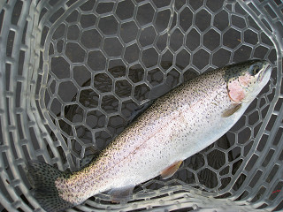 f0065341_116241.jpg