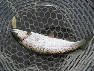 f0065341_116572.jpg
