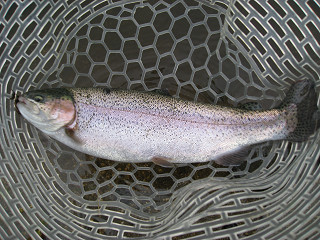 f0065341_118189.jpg