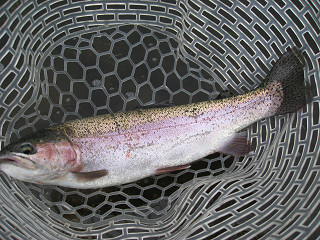 f0065341_1184211.jpg