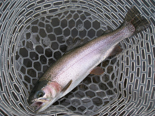 f0065341_119381.jpg