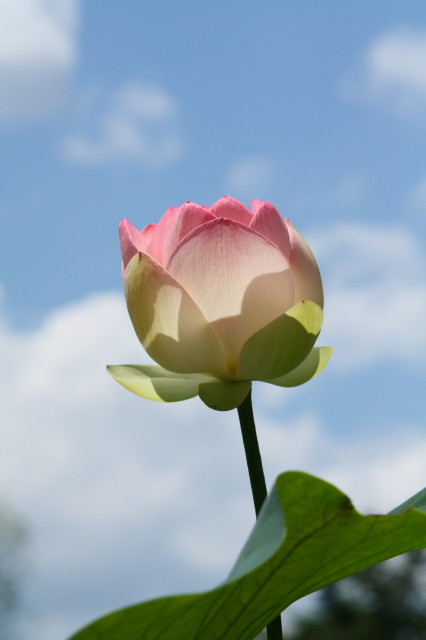 e0039744_215047.jpg