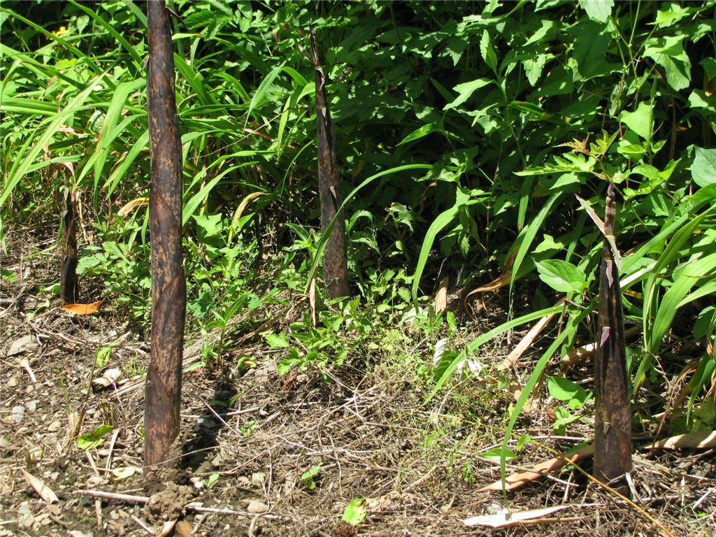 f0151044_7315651.jpg