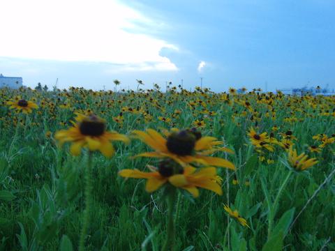 c0156345_16454290.jpg