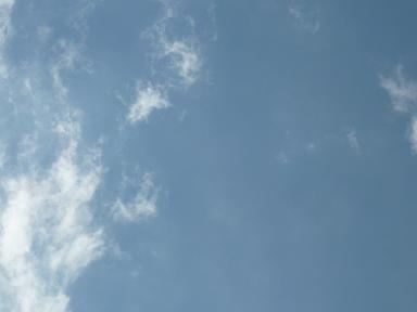 d0182245_20312824.jpg