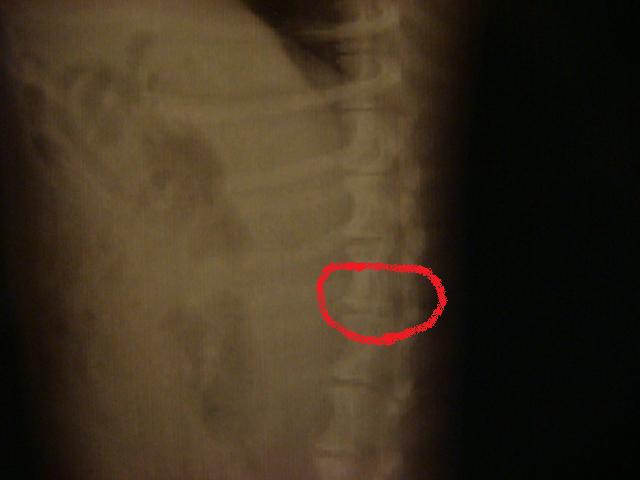 e0169149_2054442.jpg