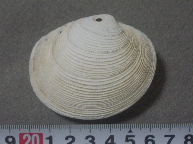 a0157451_21225483.jpg