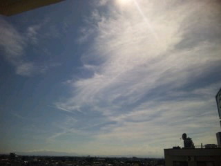 d0003551_1501020.jpg