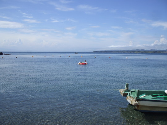 f0131165_12513321.jpg