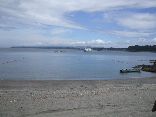 f0131165_12521318.jpg