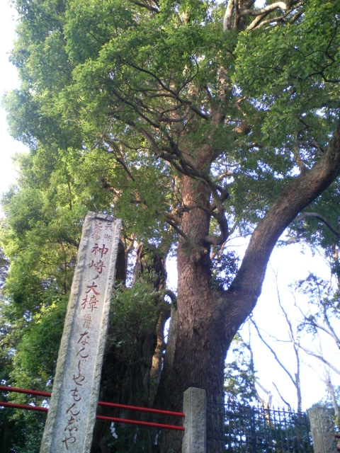 f0117673_20254155.jpg