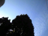 a0119777_8105398.jpg