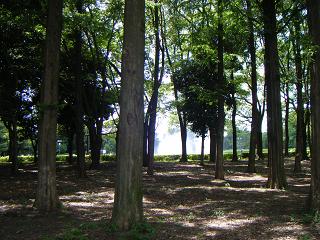 f0149083_2359103.jpg
