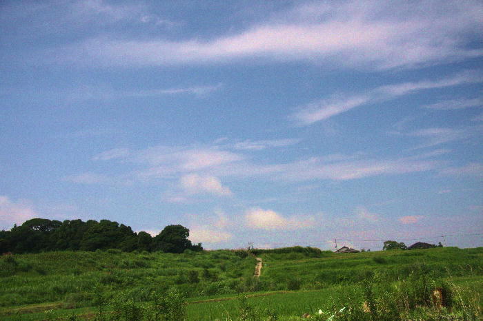b0171185_1647167.jpg