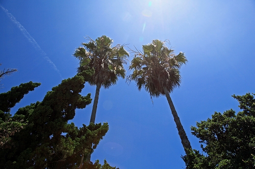 e0190885_17391439.jpg