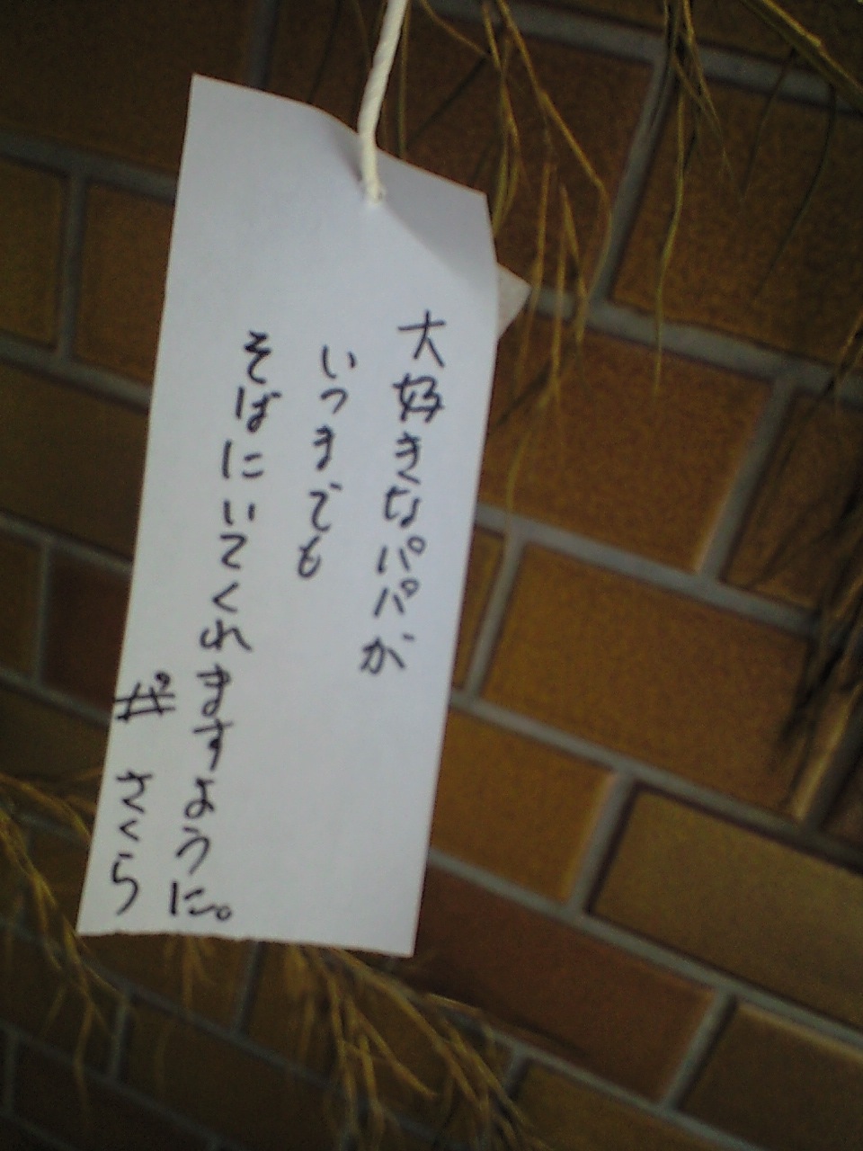 b0128587_1531086.jpg