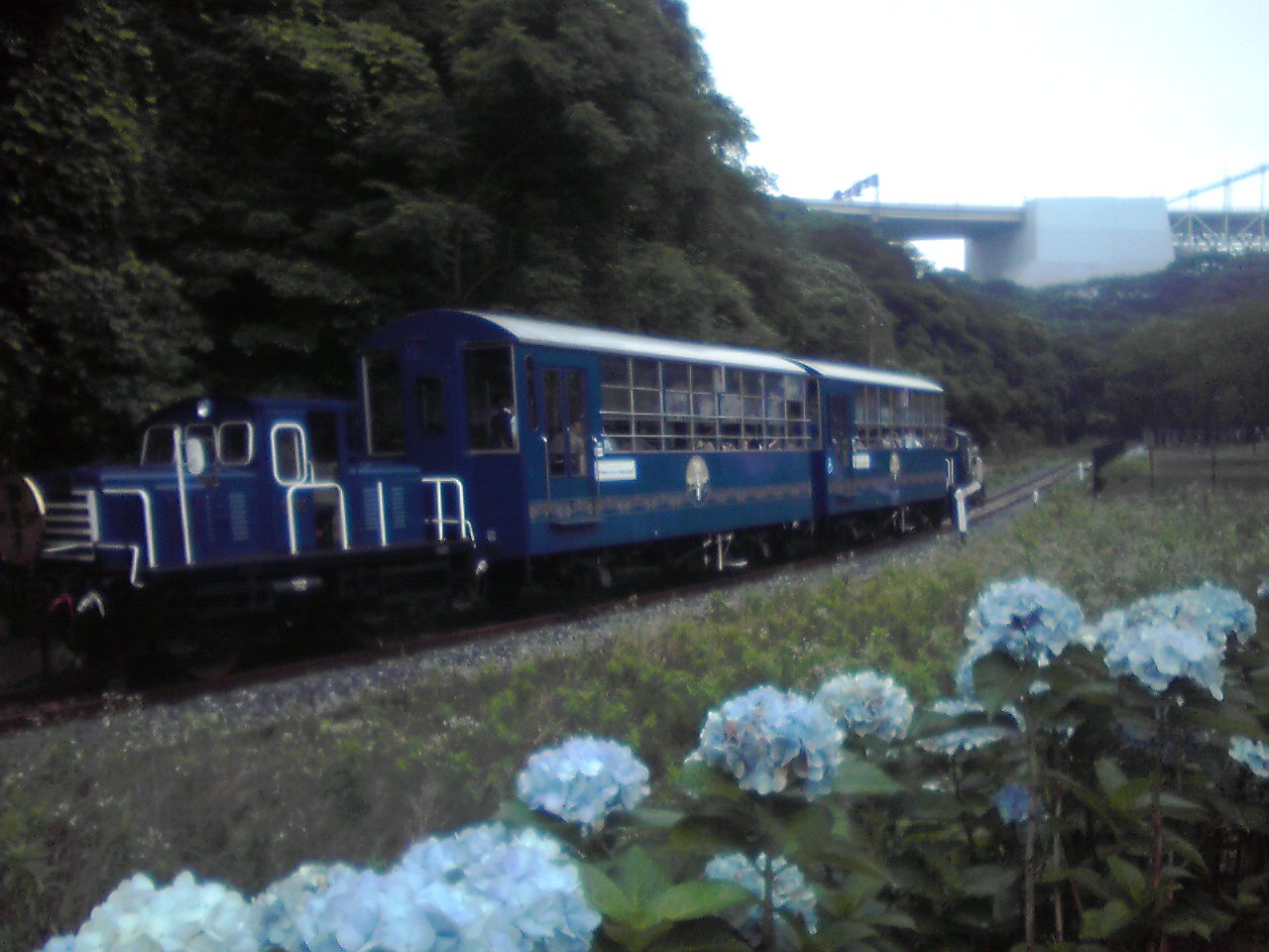 d0178788_13474262.jpg