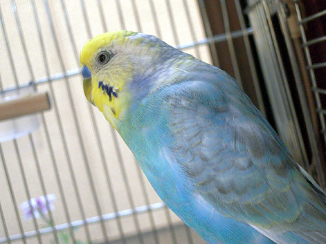 d0131293_10212089.jpg
