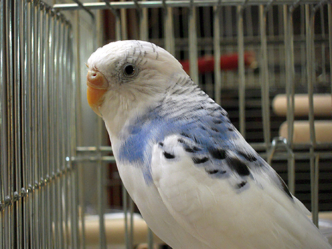 d0131293_1021439.jpg