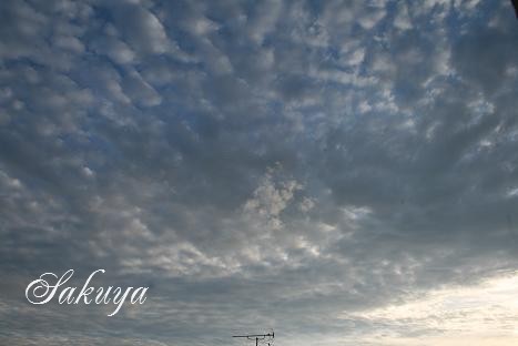 e0122194_7213857.jpg