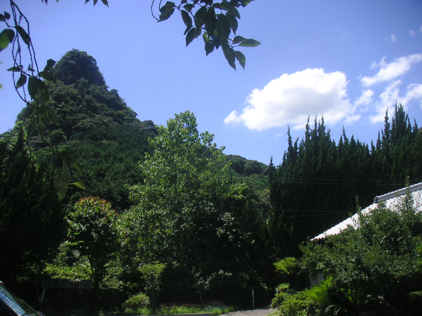 f0146802_23405316.jpg