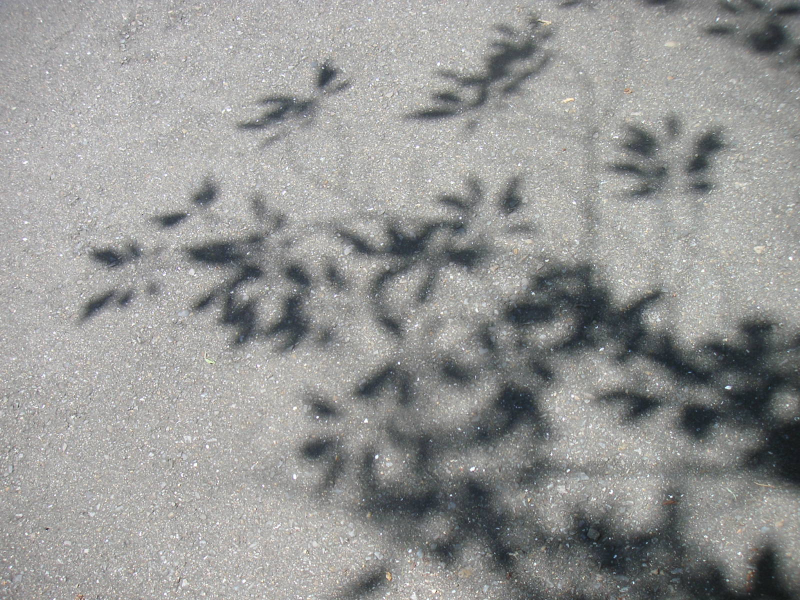 f0146802_2343143.jpg
