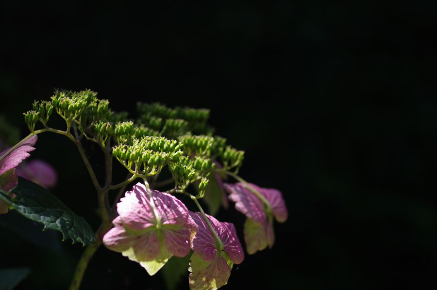c0187503_2325443.jpg