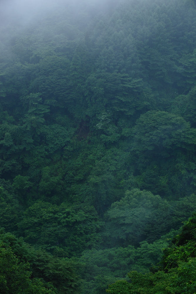 a0155104_1105595.jpg