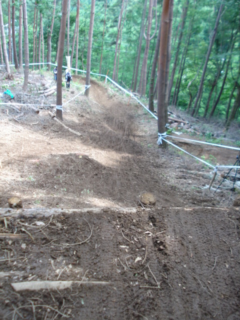 e0015108_123909.jpg