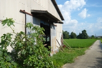 f0221708_2322856.jpg