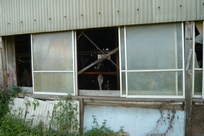 f0221708_2324827.jpg