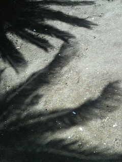 a0011909_13415311.jpg