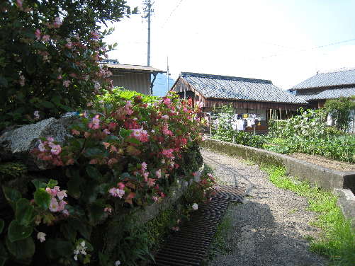 d0154609_13471725.jpg