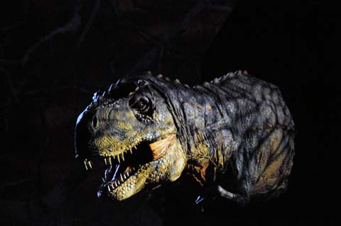 e0177509_2032518.jpg