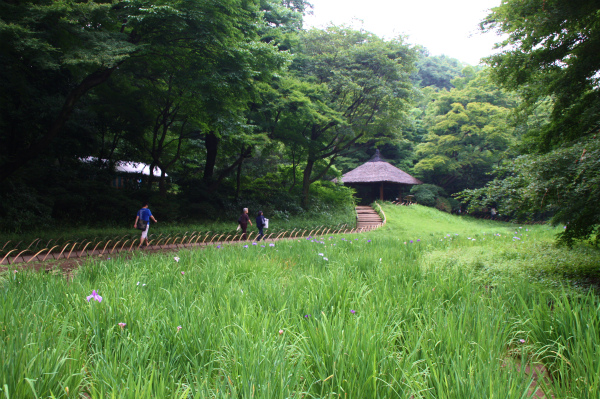e0121110_21172661.jpg