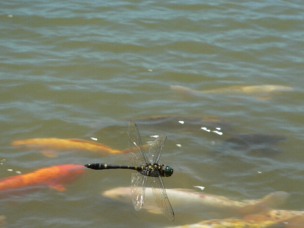 e0002314_2224331.jpg