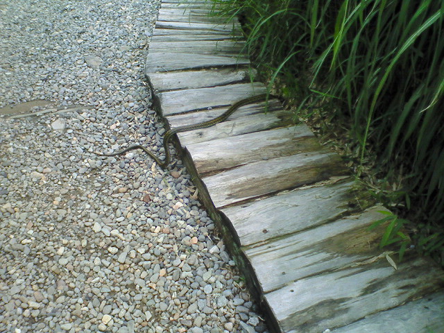 a0073915_22401446.jpg