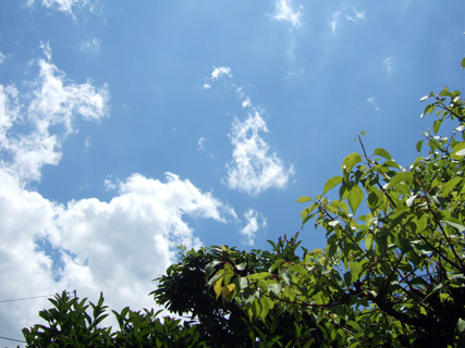 c0077615_12552116.jpg