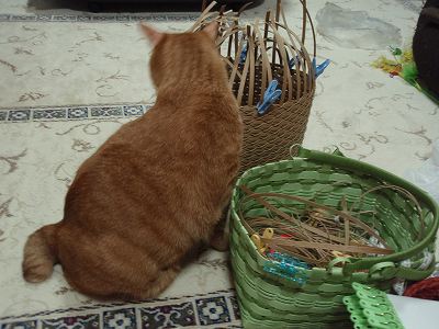 c0145016_2133523.jpg
