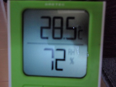 c0145016_2152541.jpg