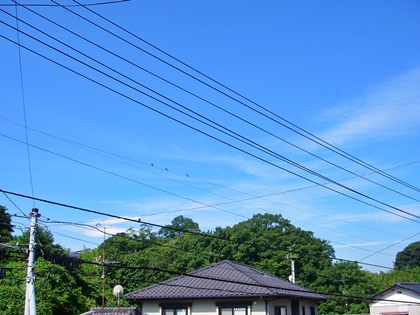 d0144618_19302025.jpg