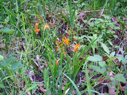 d0144618_193042100.jpg