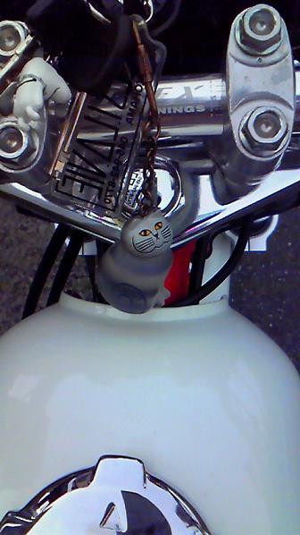 a0078020_21123615.jpg