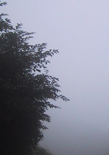 c0097620_21505899.jpg