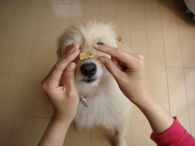 c0150520_025391.jpg