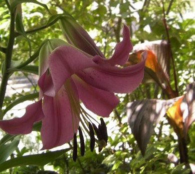 c0204121_6401575.jpg