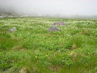 f0000521_7411186.jpg